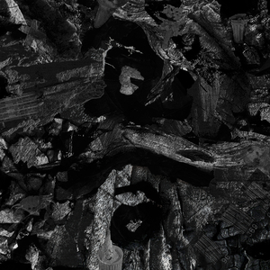 美女直播做爱永久视频网站
